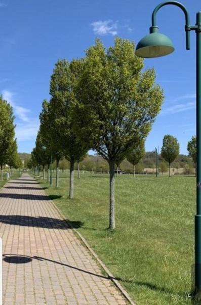 Ferienapartment Wiese & Meer Auf Ruegen Neddesitz Εξωτερικό φωτογραφία