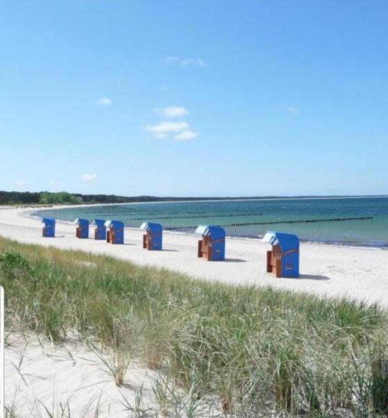 Ferienapartment Wiese & Meer Auf Ruegen Neddesitz Εξωτερικό φωτογραφία