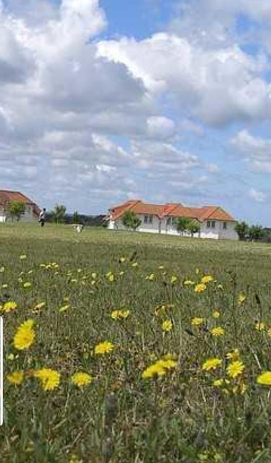Ferienapartment Wiese & Meer Auf Ruegen Neddesitz Εξωτερικό φωτογραφία