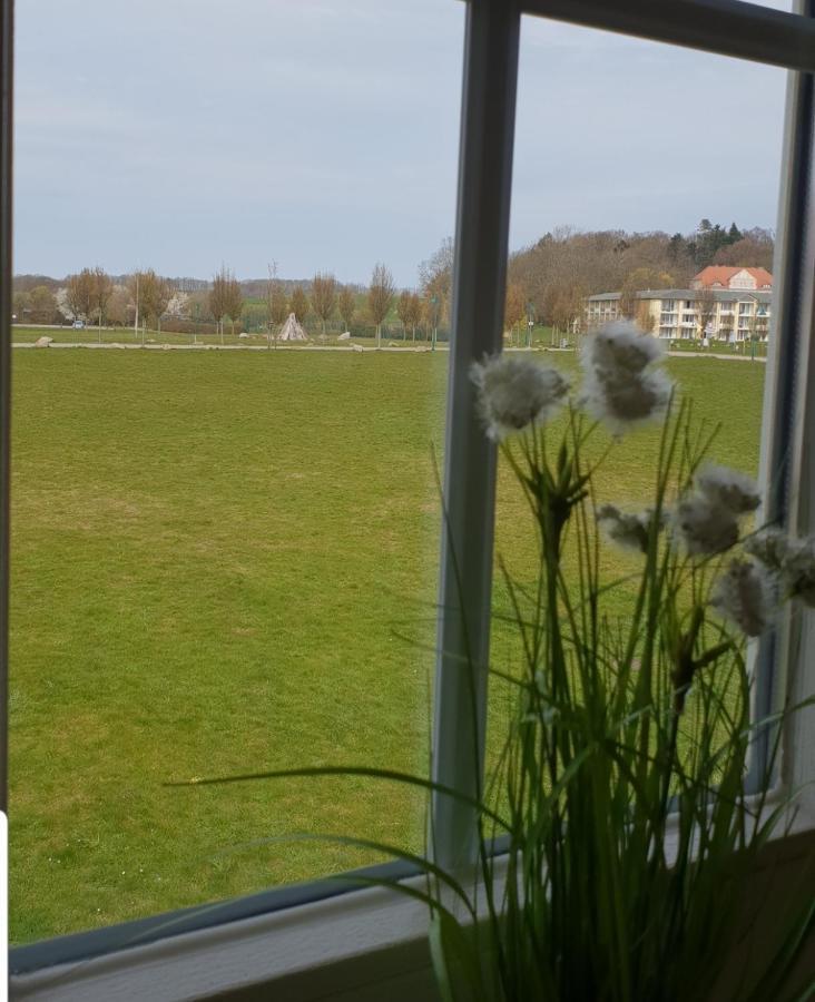 Ferienapartment Wiese & Meer Auf Ruegen Neddesitz Εξωτερικό φωτογραφία